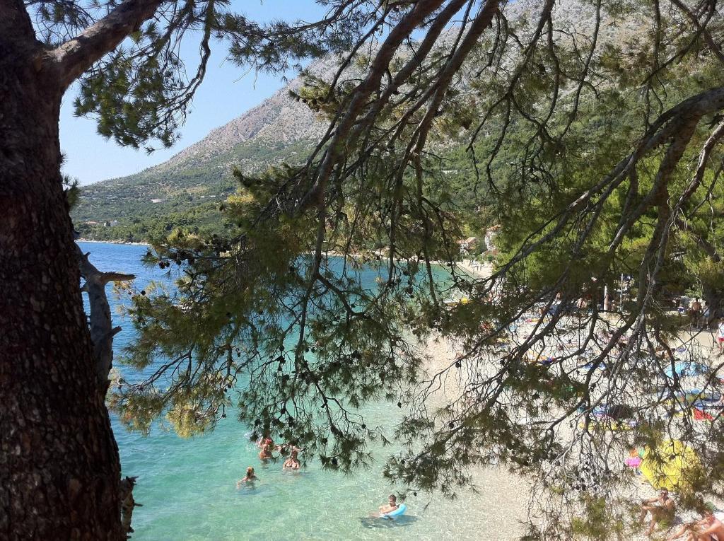Apartments Vile Holiday Zivogosce Bagian luar foto